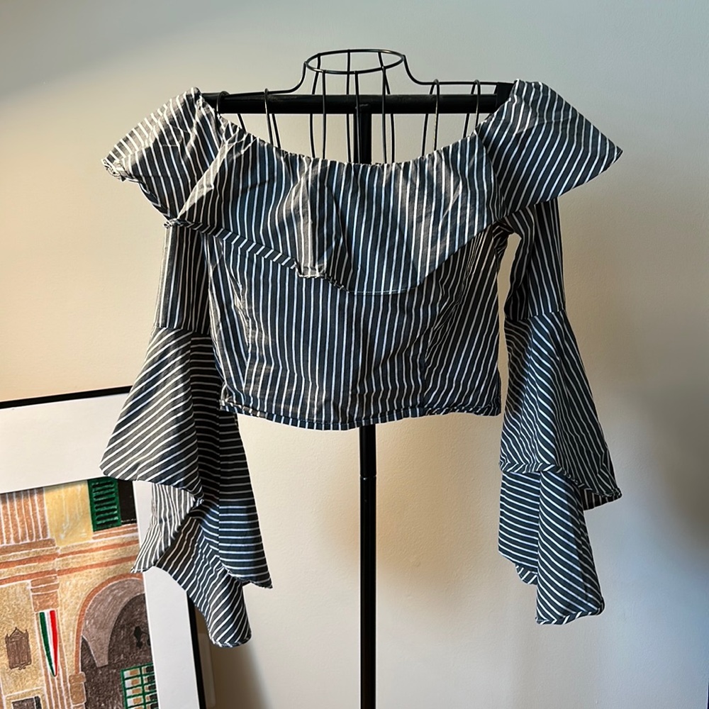 Flare arm crop top